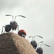 Minuscule - La Vallée des fourmis perdues - 