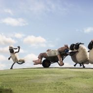 Shaun le Mouton, le film / Shaun the Sheep Movie - 