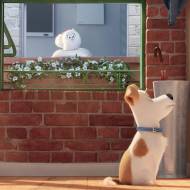 Comme des bêtes / The Secret Life of Pets - ILLUMINATION ENTERTAINMENT, ILLUMINATION MAC GUFF, UNIVERSAL PICTURES INTERNATIONAL