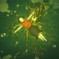 Big Fish & Begonia - 