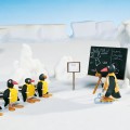 Pingu "Pingu's Sledge Academy"