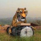 Save the Tiger "Spare Me"