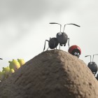 Minuscule - La Vallée des fourmis perdues