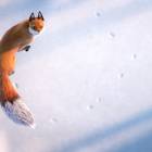 The Short Story of a Fox and a Mouse
