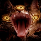 Run the Jewels "Meowpurrdy"