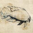 Eclosion