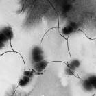 Inside Me