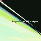 Scaphoïde et Métacarpes