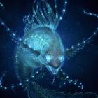Biolum