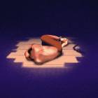 The Transatlantic Slave Trade