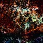 Immortelle