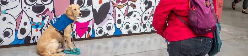 MyAnnecyFestival