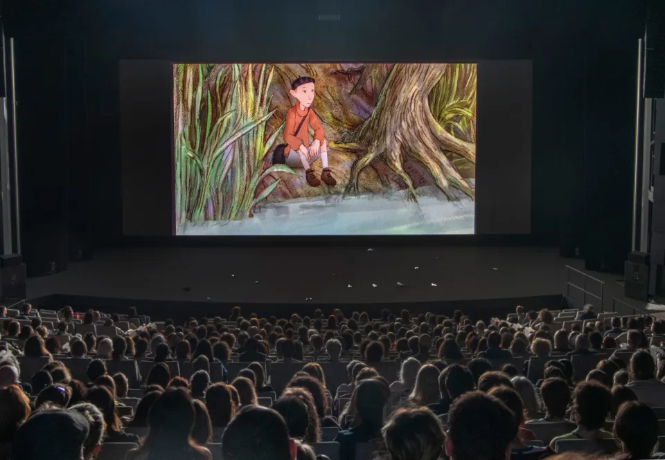Projection, Grande salle Bonlieu