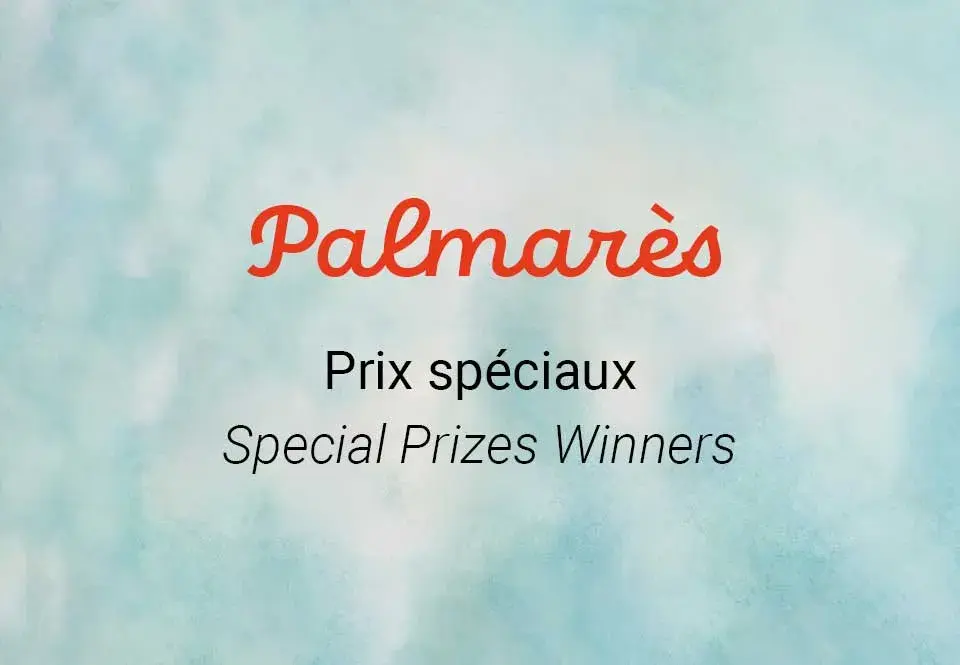 Palmarès prix spéciaux