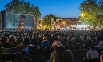 Projection plein-air du Chat Potté 2 : la Dernière Quête.