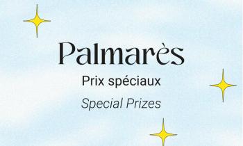Palmarès prix spéciaux