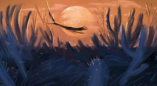 Le Royaume des oiseaux (O Reino dos Pássaros) de Wesley Rodrigues (Brésil)