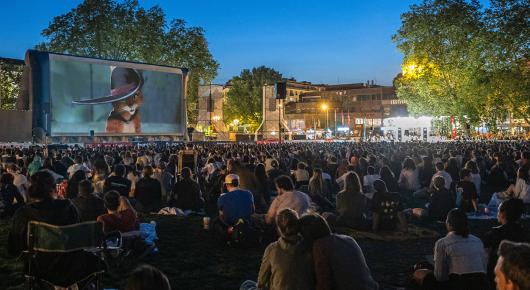 Projection plein-air du Chat Potté 2 : la Dernière Quête.