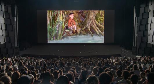 Projection, Grande salle Bonlieu