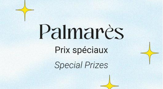 Palmarès prix spéciaux