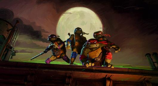 Ninja Turtles: Teenage Years