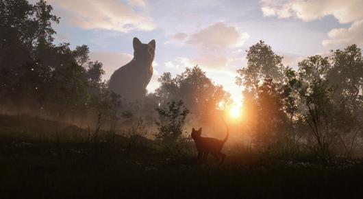 Flow, le chat qui n'avait plus peur de l'eau