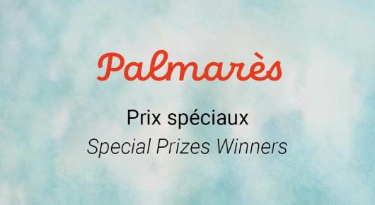 Palmarès prix spéciaux
