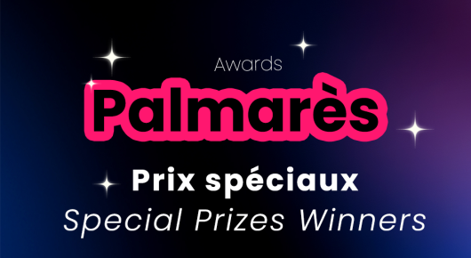 Palmares Prix speciaux